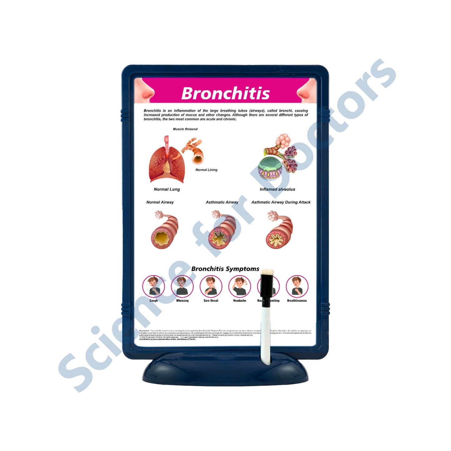 Bronchitis: The Frame Write & Wipe