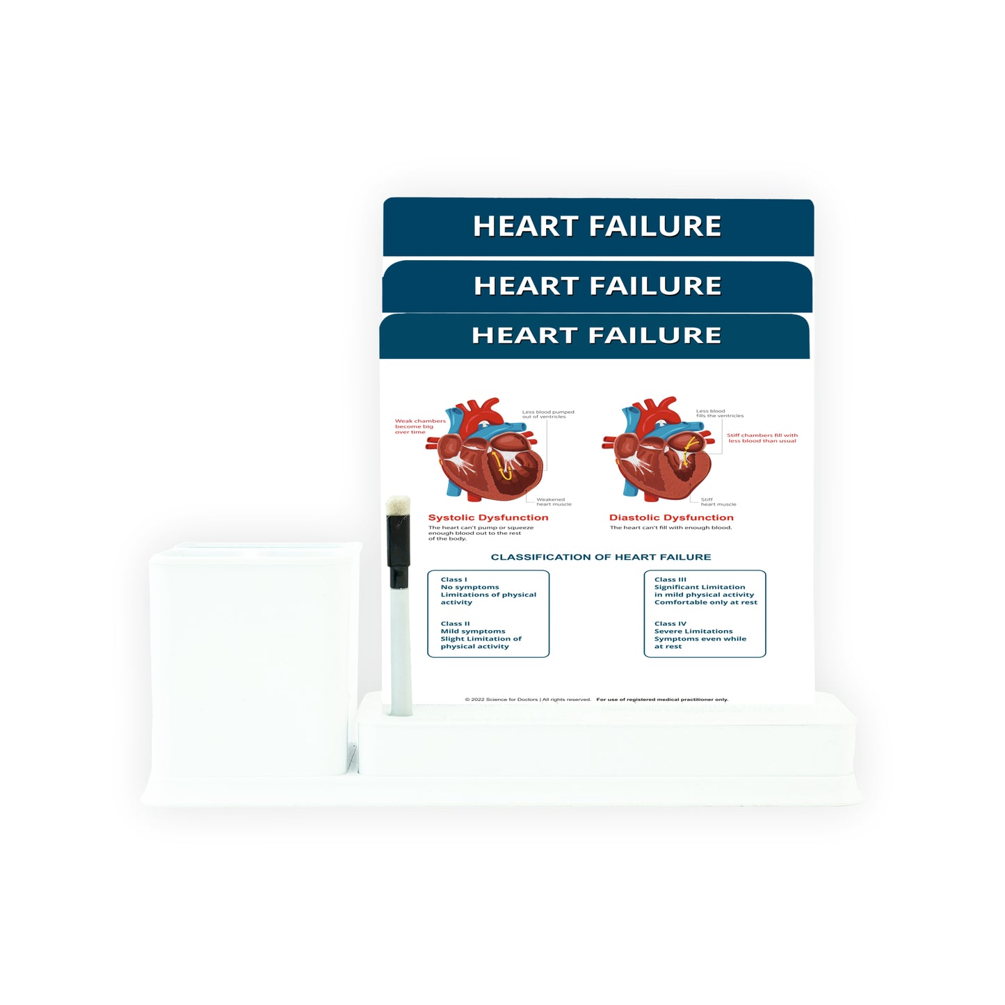 Heart Failure: 3 Slides Write & Wipe with Stationary Stand