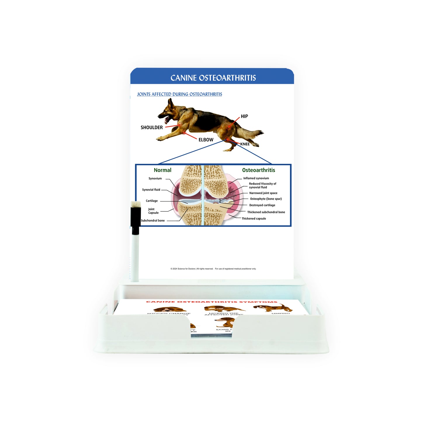 Canine Osteoarthritis: 1 Slide with Patient Leaflet Tray