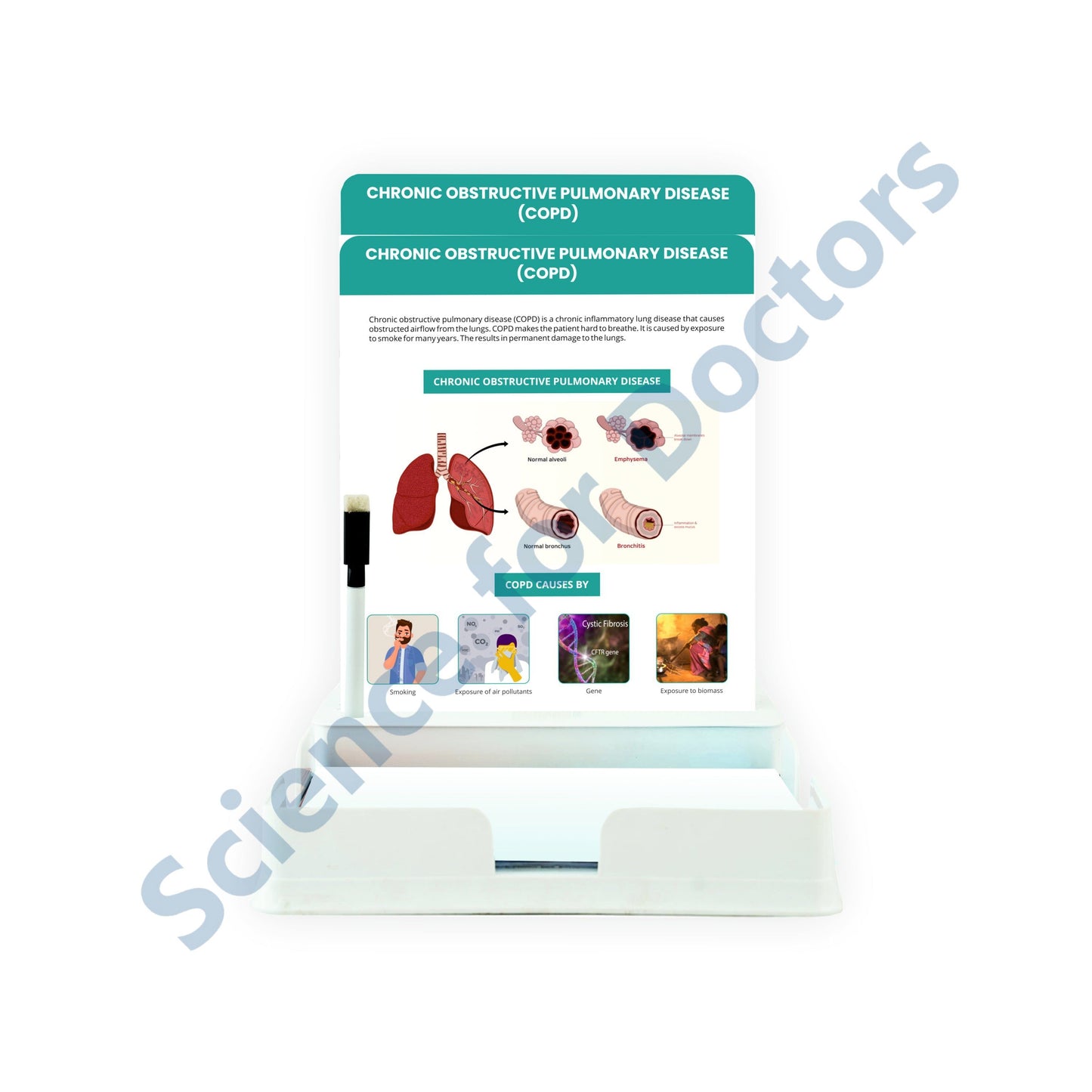 Chronic Obstructive Pulmonary Disease: 2 Slides Patient Leaflet Tray