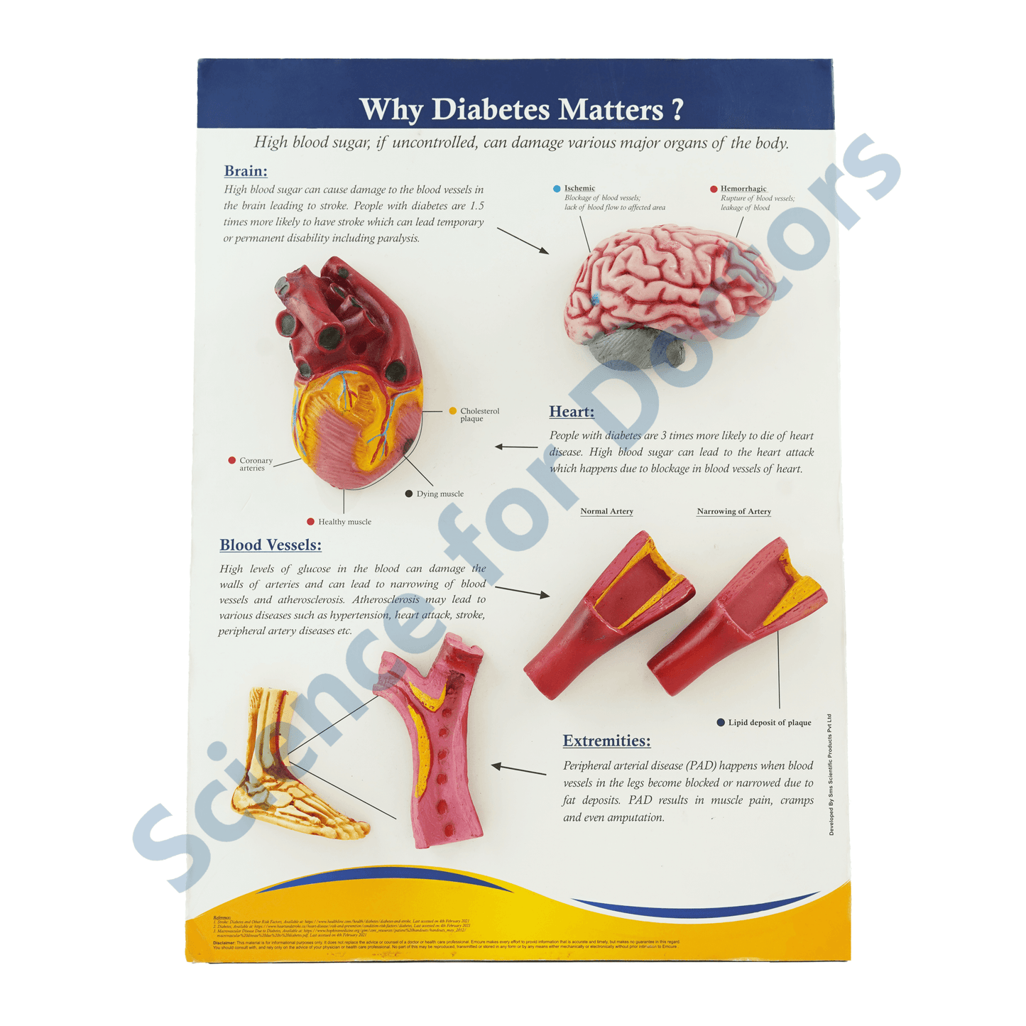 Why Diabetes Matter : 3d therapy Board