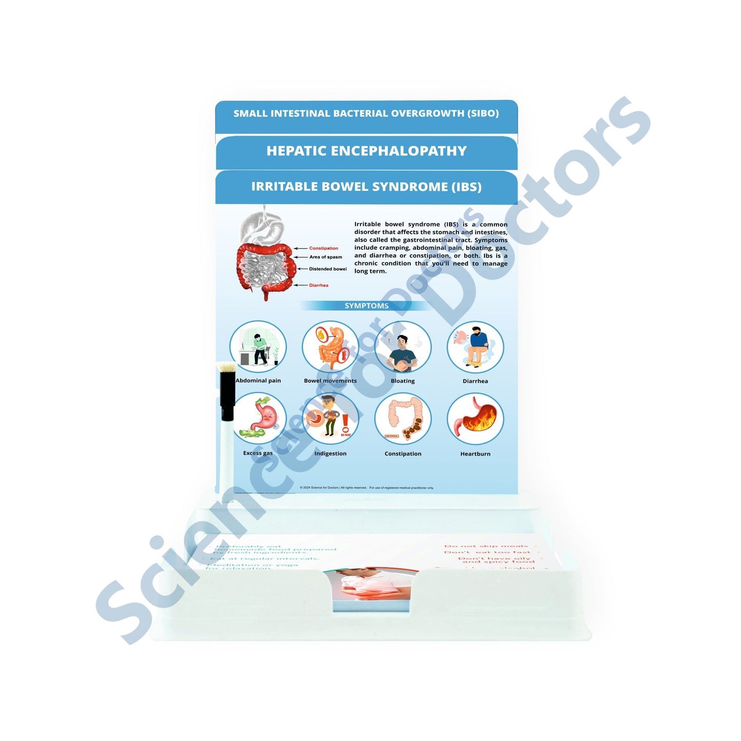 Irritable Bowel Syndrome (IBS): 3 Slides Patient Leaflet Tray