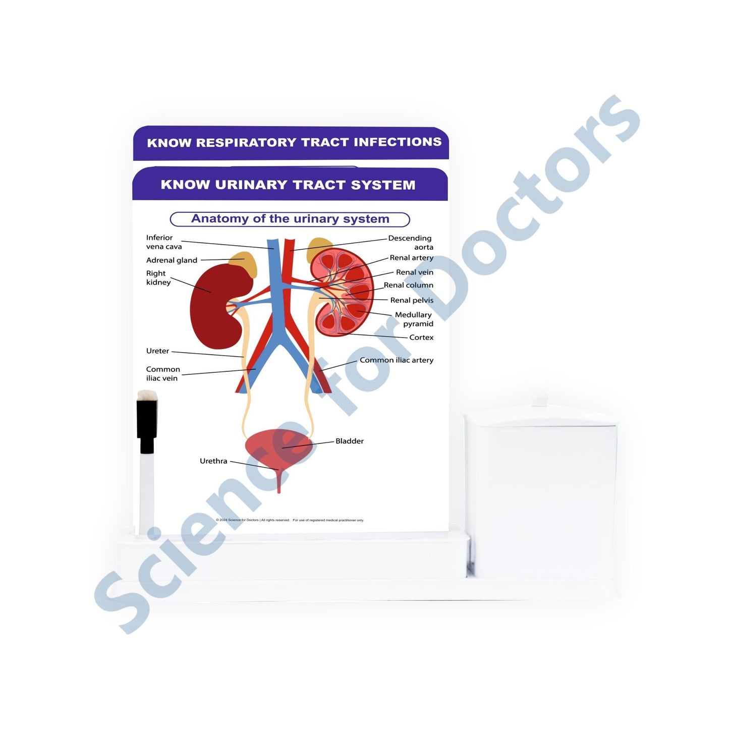 Know Urinary Tract System - 2 Slide Write Wipe With Utility Container