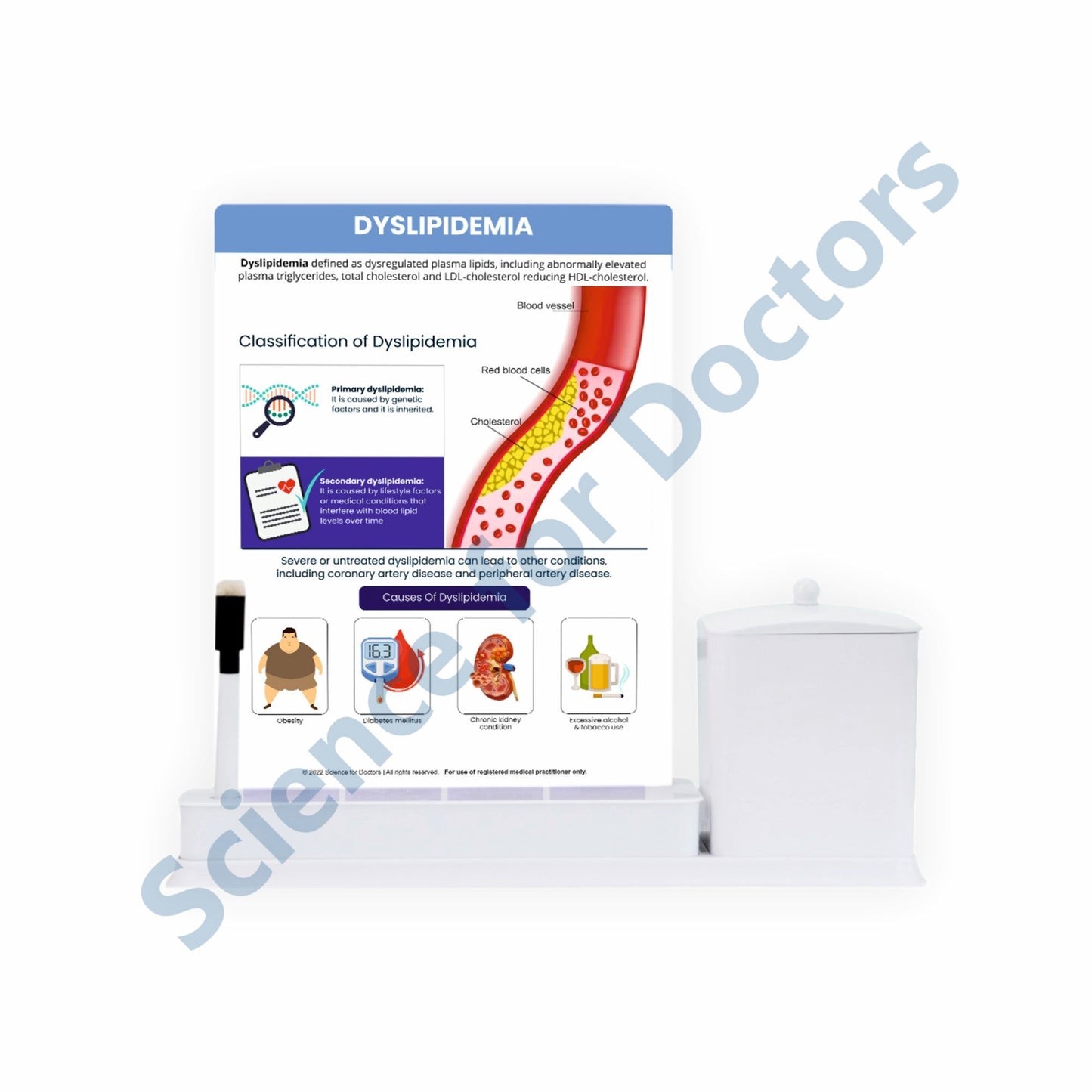 Dyslipidemia: 1 Slide Write Wipe With Utility Container