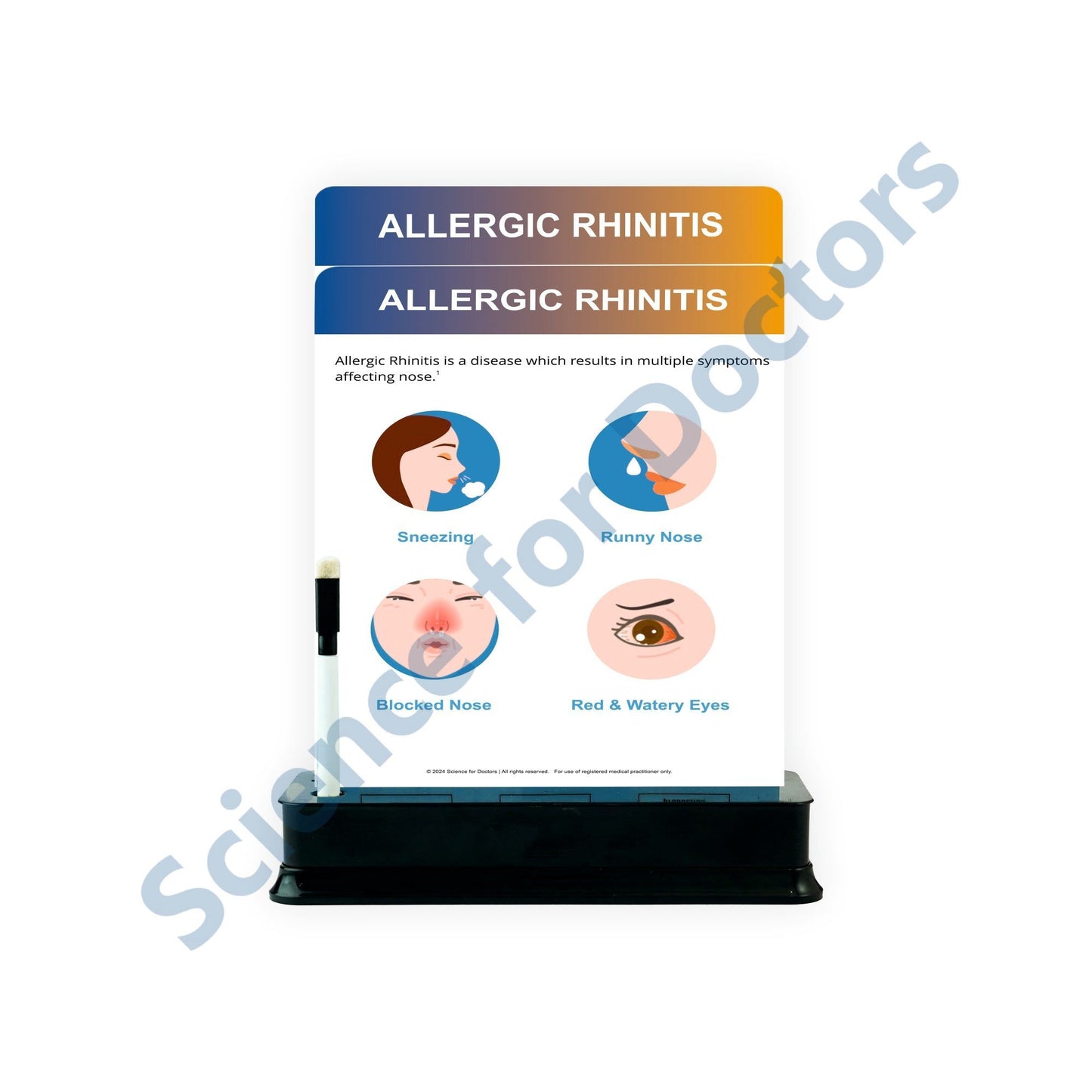 Allergic Rhinitis: 2 Slides on stand