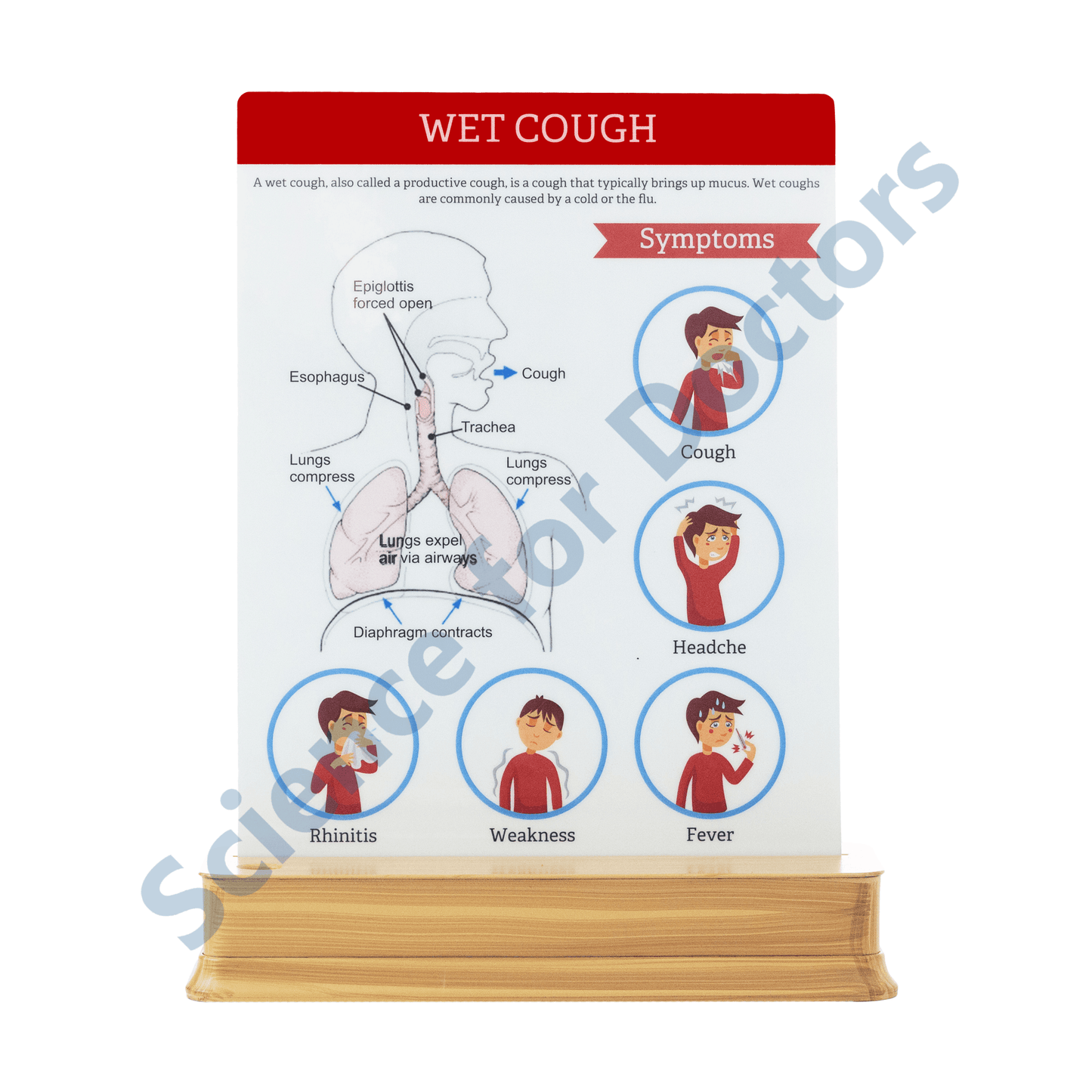 Wet Cough: 1 Slide on stand