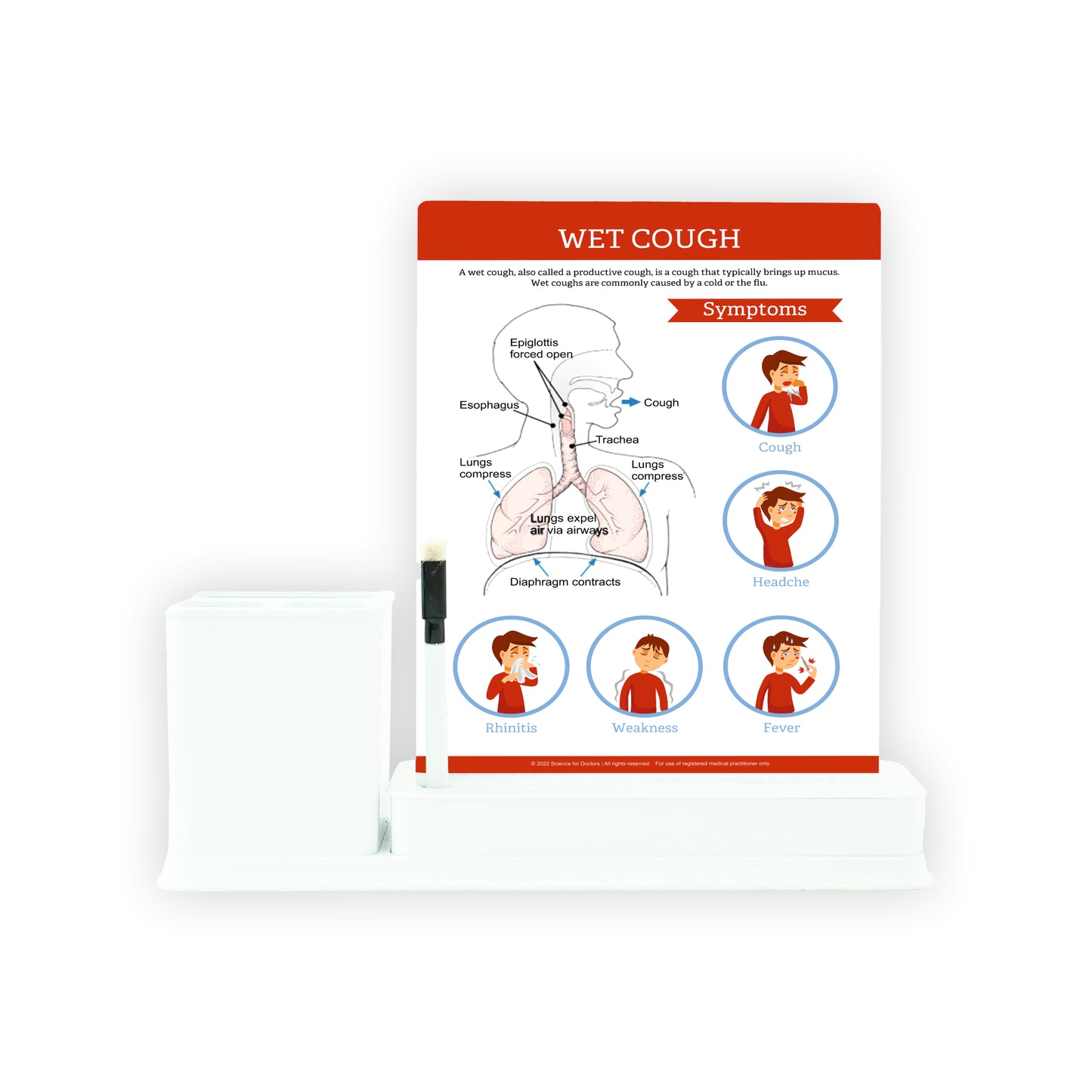 Wet Cough: 1 Slide on stand