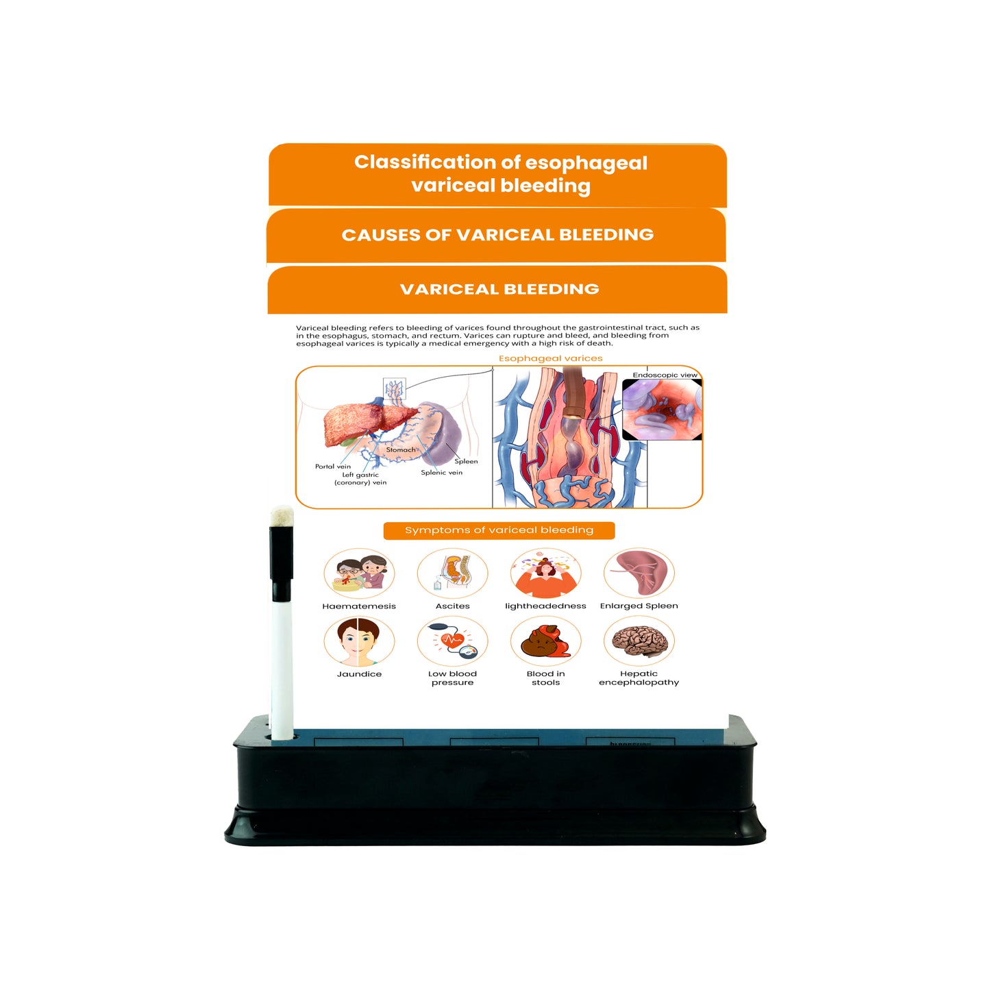 Variceal Bleeding: 3 Slides on stand