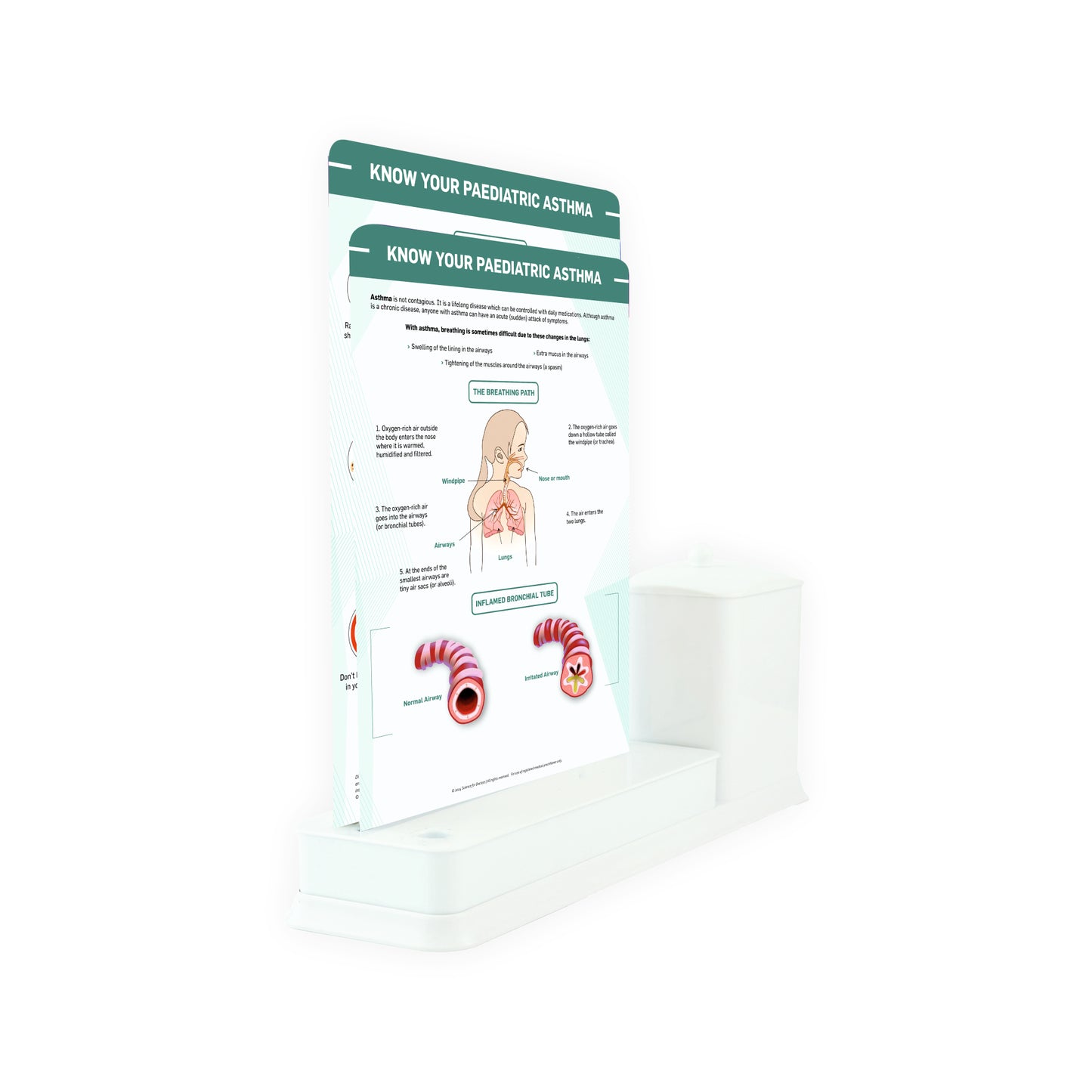 Know your Pediatric Asthma: 2 Slide Write Wipe With Utility Container