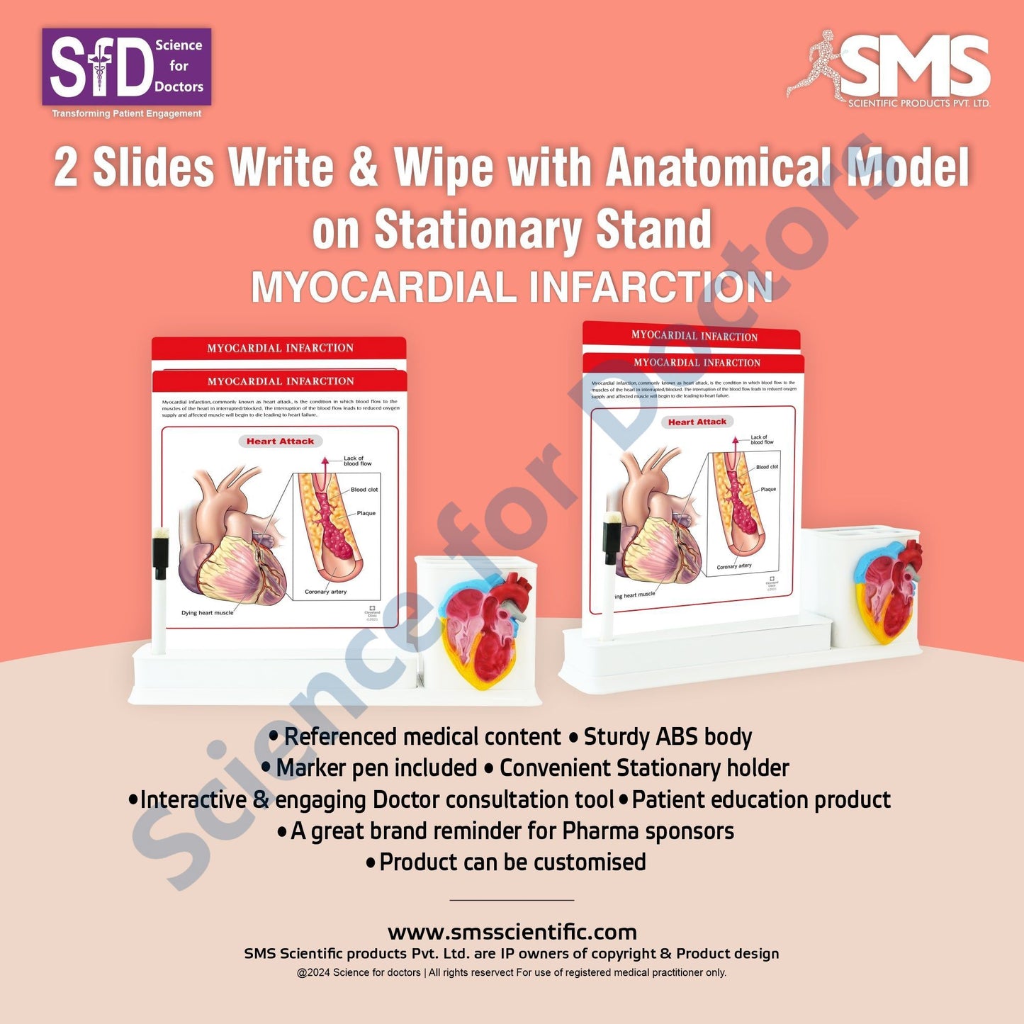 2 slides write & wipe with anatomical model on Stationary Stand - Myocardial Infarction_1