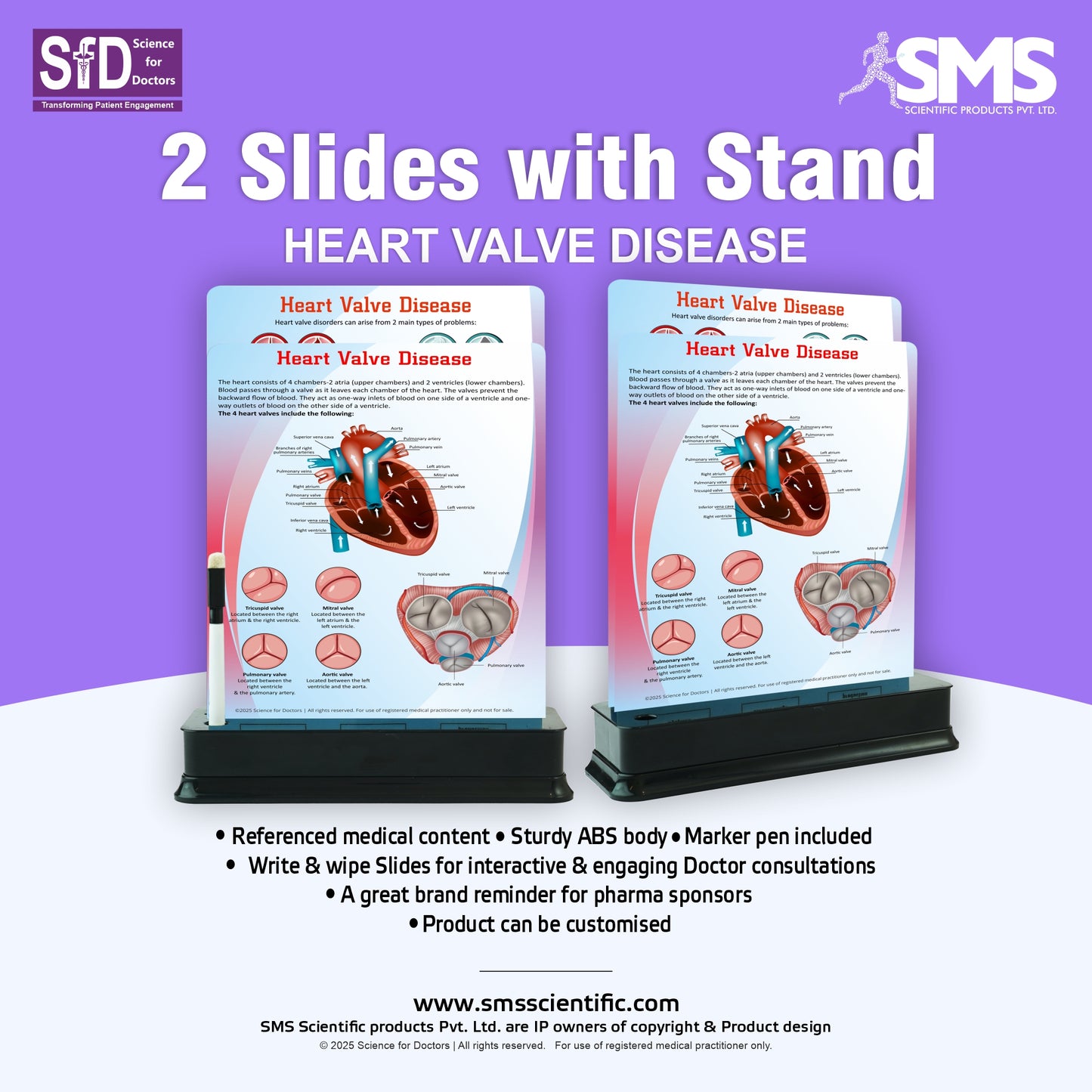 Heart Valve Disease: 2 Slide With Stand