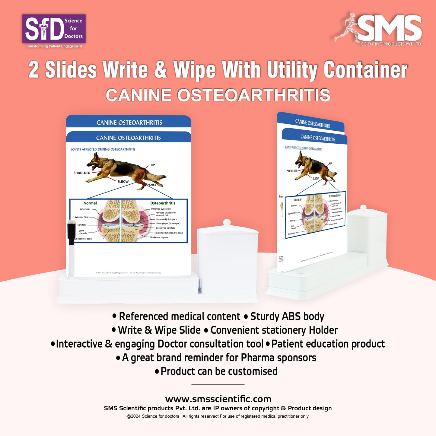 Canine Osteoarthritis - 2 Slide Write Wipe With Utility Container