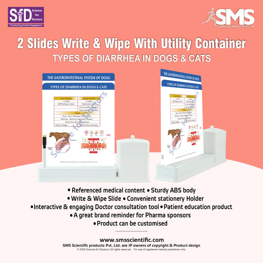 types of diarrhea in dogs & cats: 2 Slide Write Wipe With Utility Container