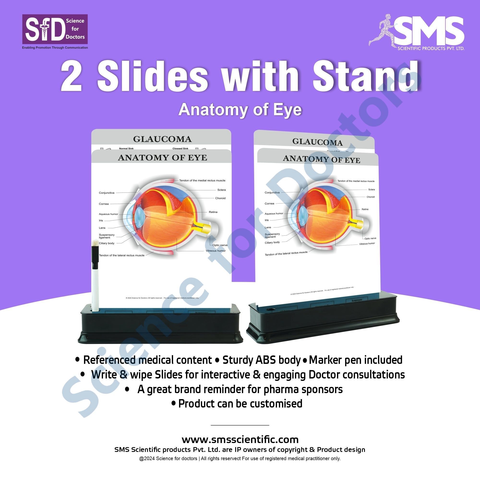 Eye Slides Matrix Anatomy of Eye - 2 Slides With Stand – SMS Scientific Products Pvt. Ltd.