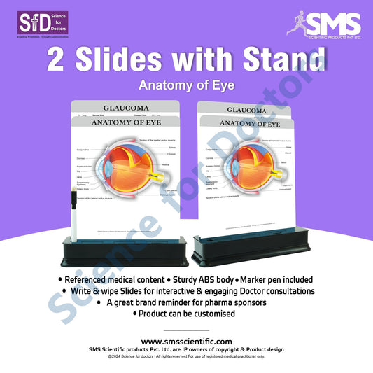 Anatomy of Eye - 2 Slides With Stand