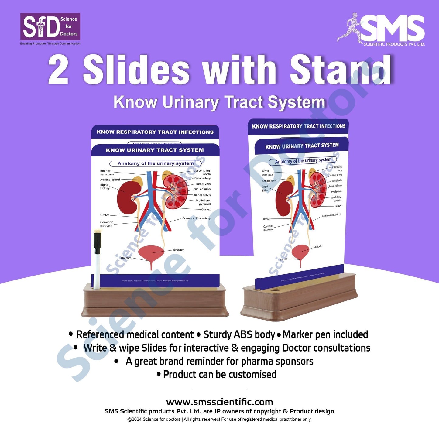 Know Urinary Tract System: 2 Slides on stand