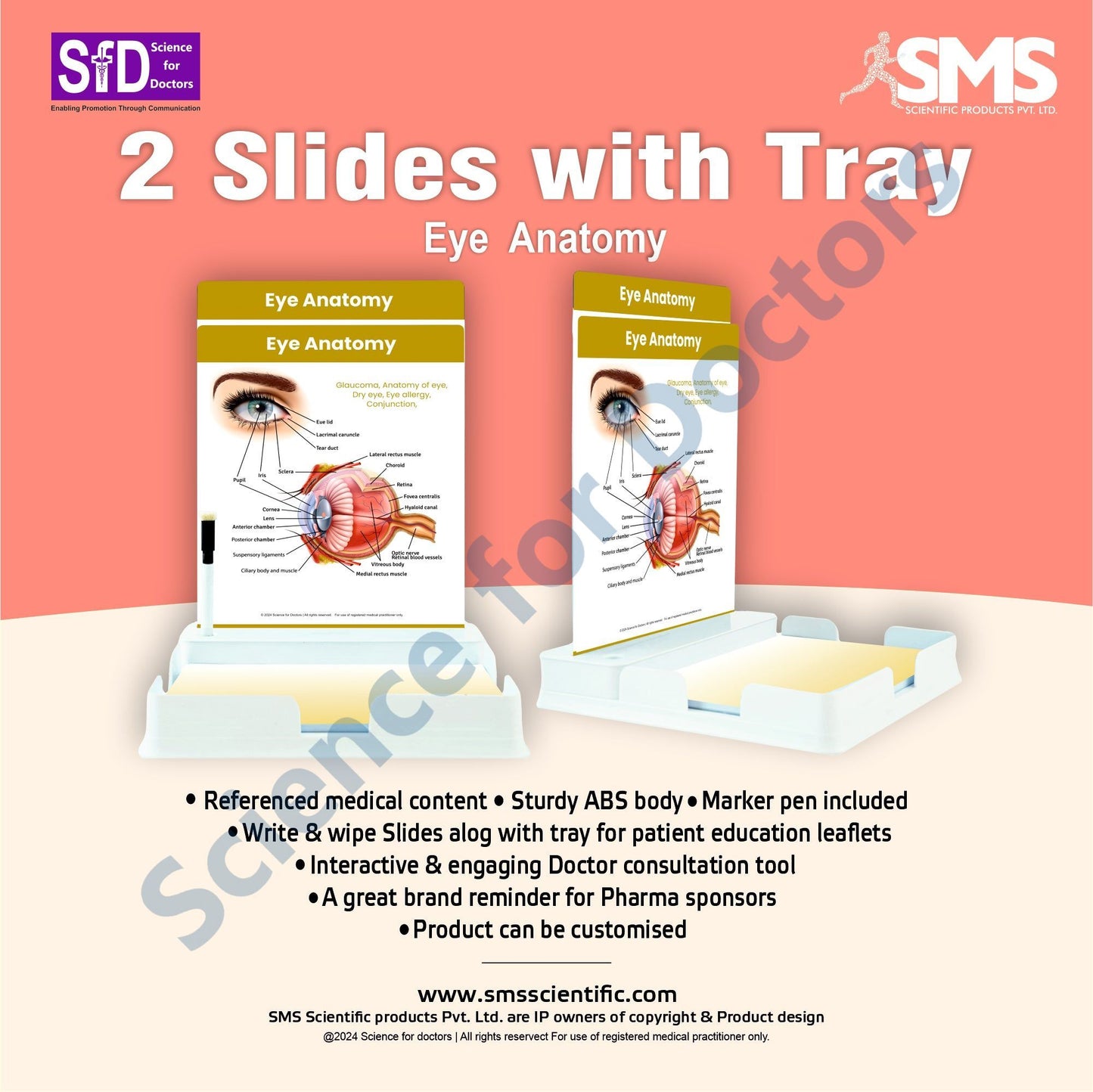 Eye Anatomy: 2 Slides Patient Leaflet Tray