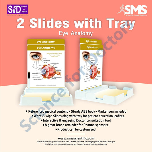 Eye Anatomy: 2 Slides Patient Leaflet Tray