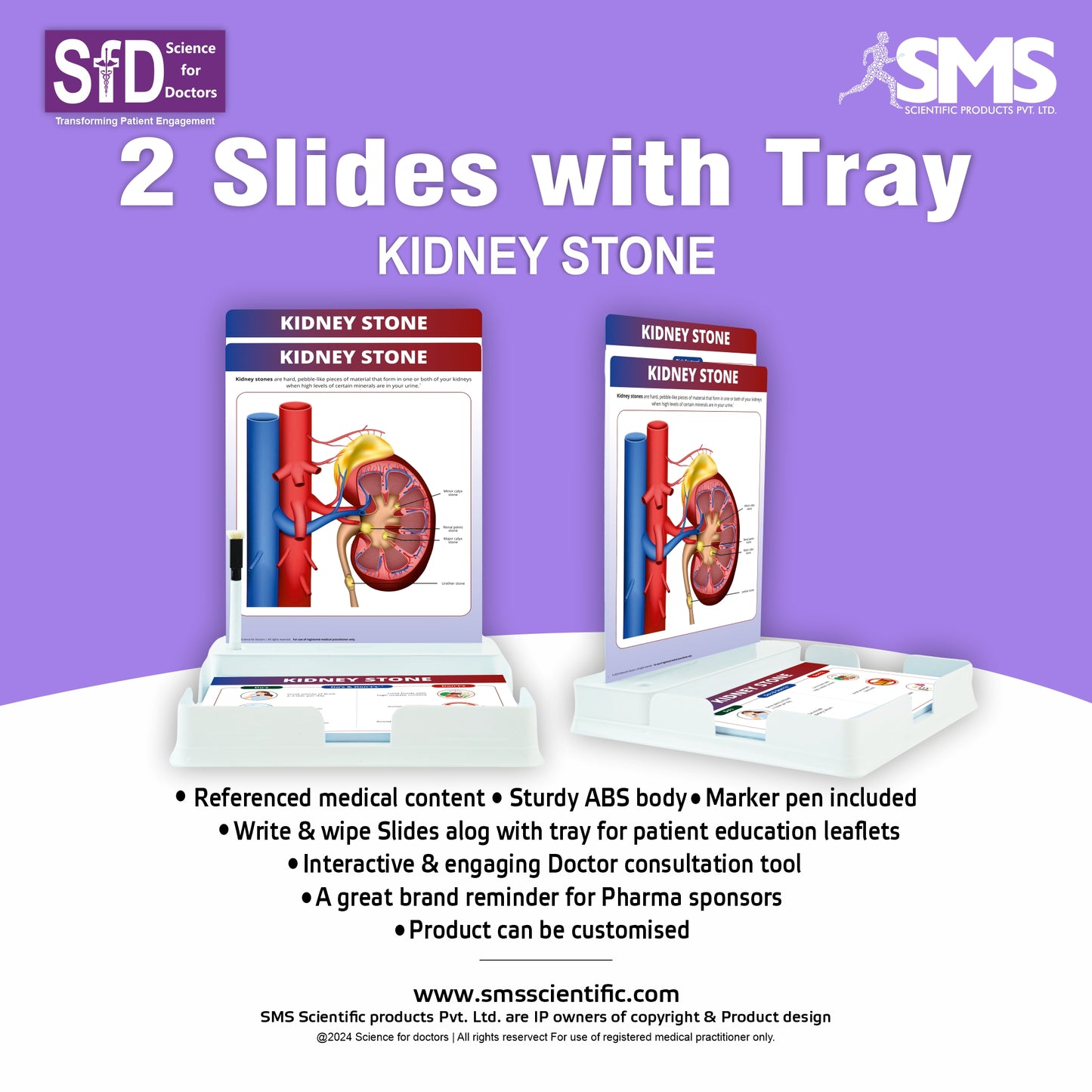 Kidney Stone : 2 Slides Patient Leaflet Tray