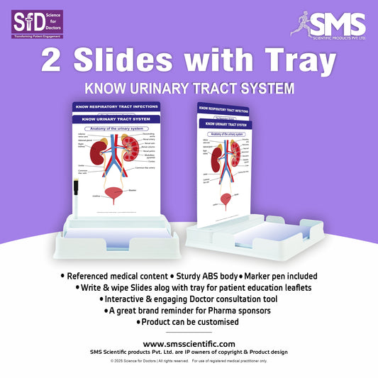 Know Urinary System: 2 Slides With Tray