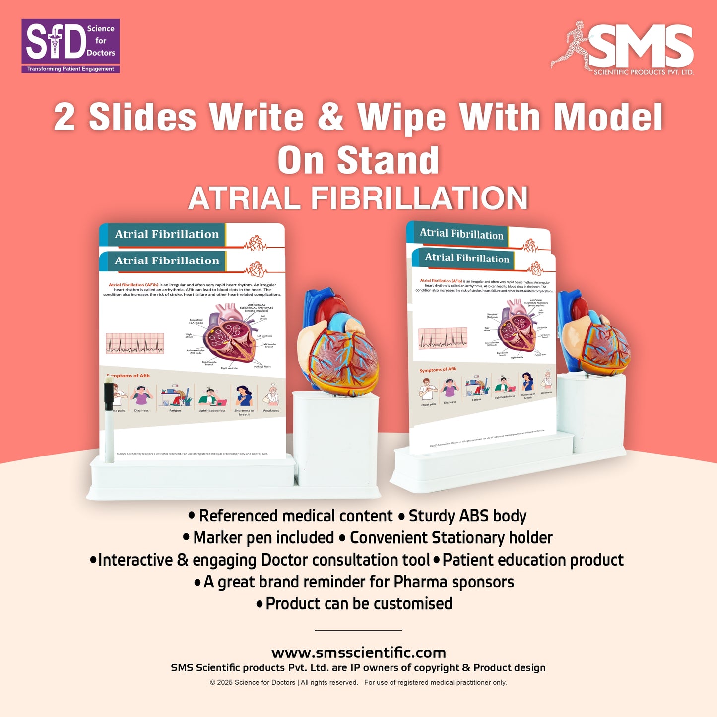 Atrial Fibrillation: 2 Slides Write & Wipe With Model On Stand