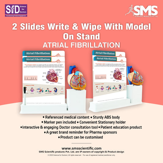 Atrial Fibrillation: 2 Slides Write & Wipe With Model On Stand