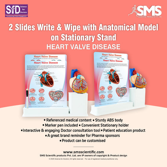 Heart Valve Disease: 2 Slides Write & Wipe with Anatomical Model on Stationary Stand