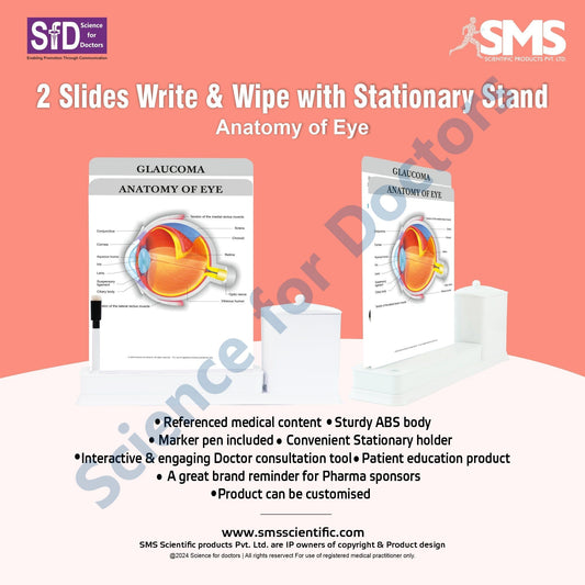 2 Slides Write & Wipe with Stationary Stand  - Anatomy of Eye