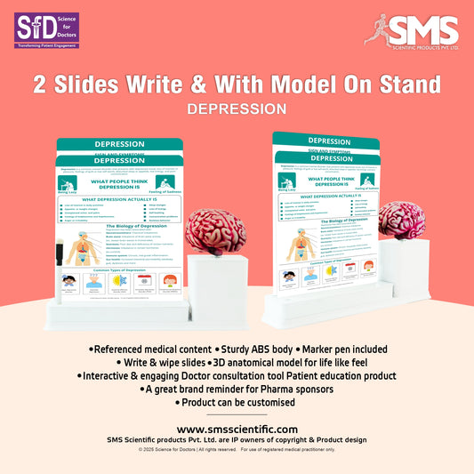 Depression: 2 Slides Write And Wipe With Model On Stand
