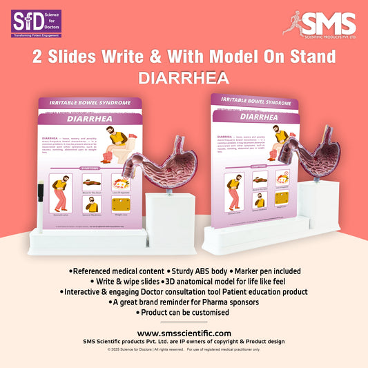 Diarrhea: 2 Slides Write and Wipe with Model On Stand