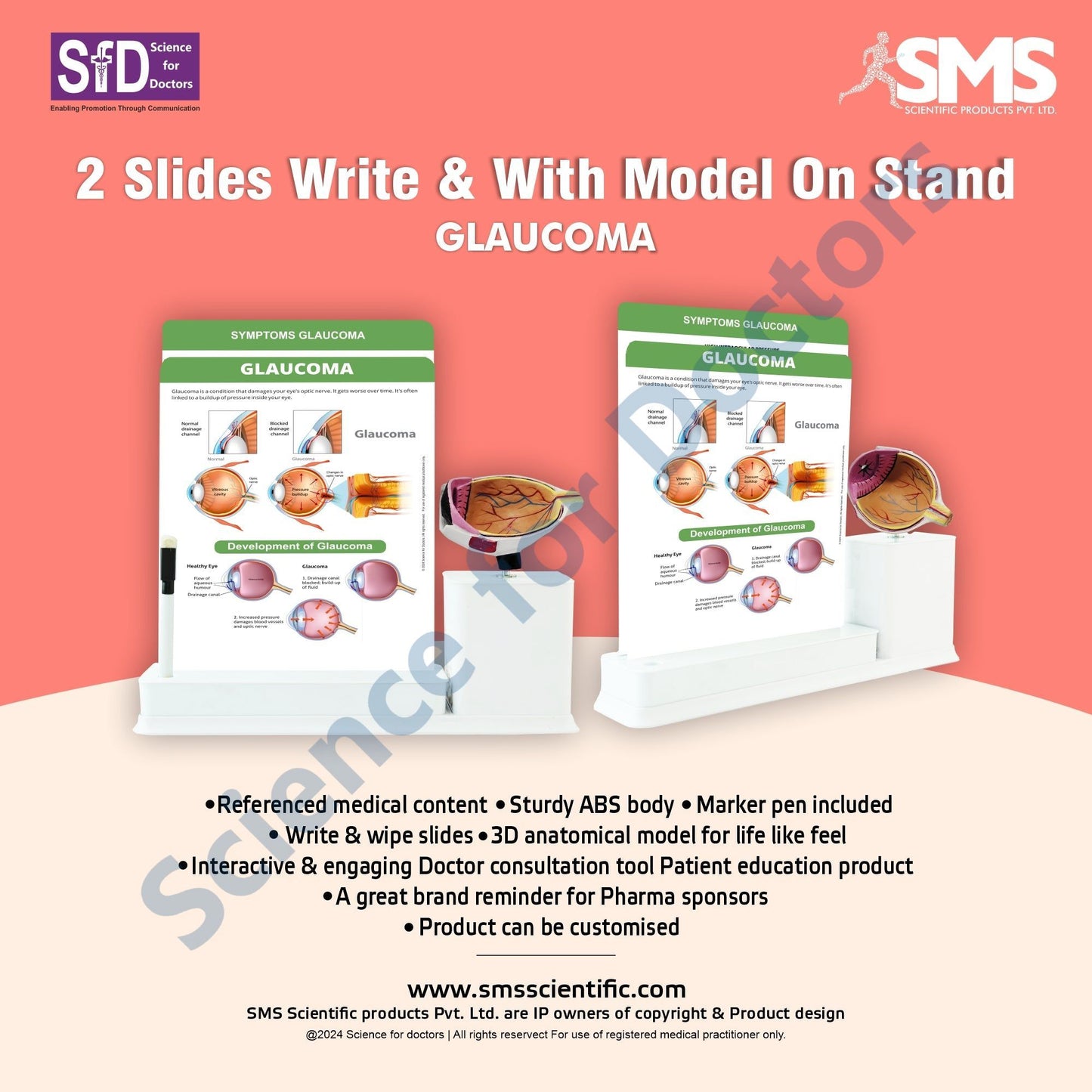 2 Slides Write and Wipe with Model On Stand - Glaucoma