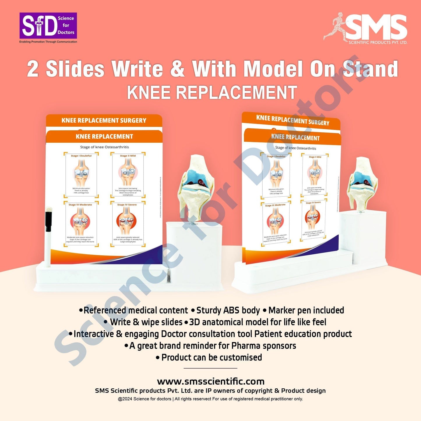 2 Slides Write and Wipe with Model On Stand - Knee Replacement