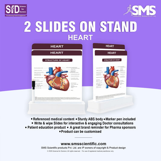 Heart: 2 Slides on Stand