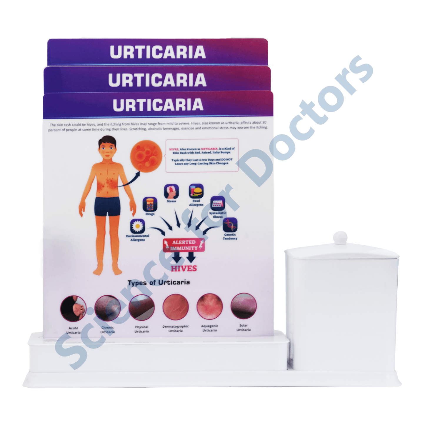 Urticaria: 3 Slides Write & Wipe with Stationary Stand