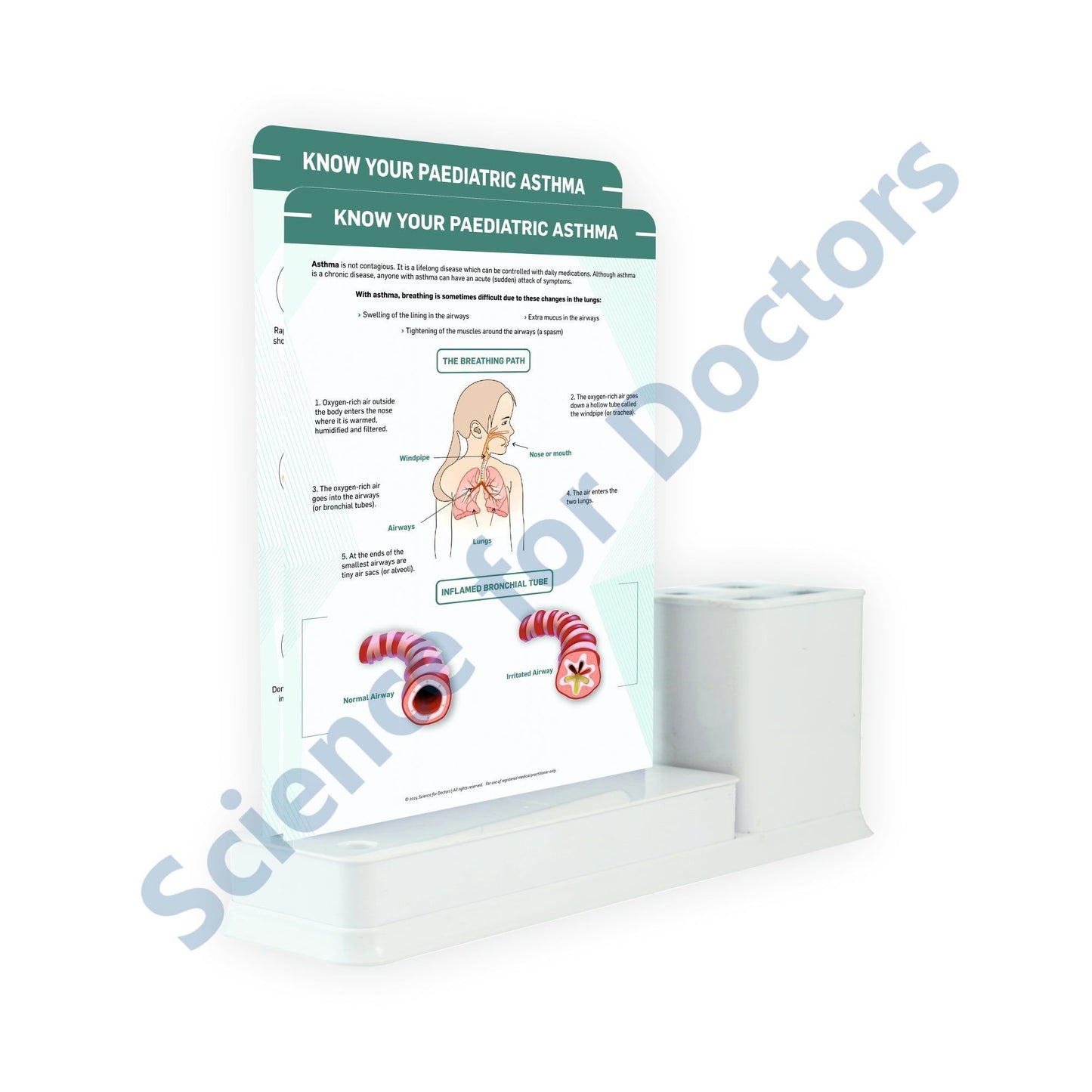 2 Slides Write & Wipe with Stationary Stand  - Know Your Paediatric Asthama