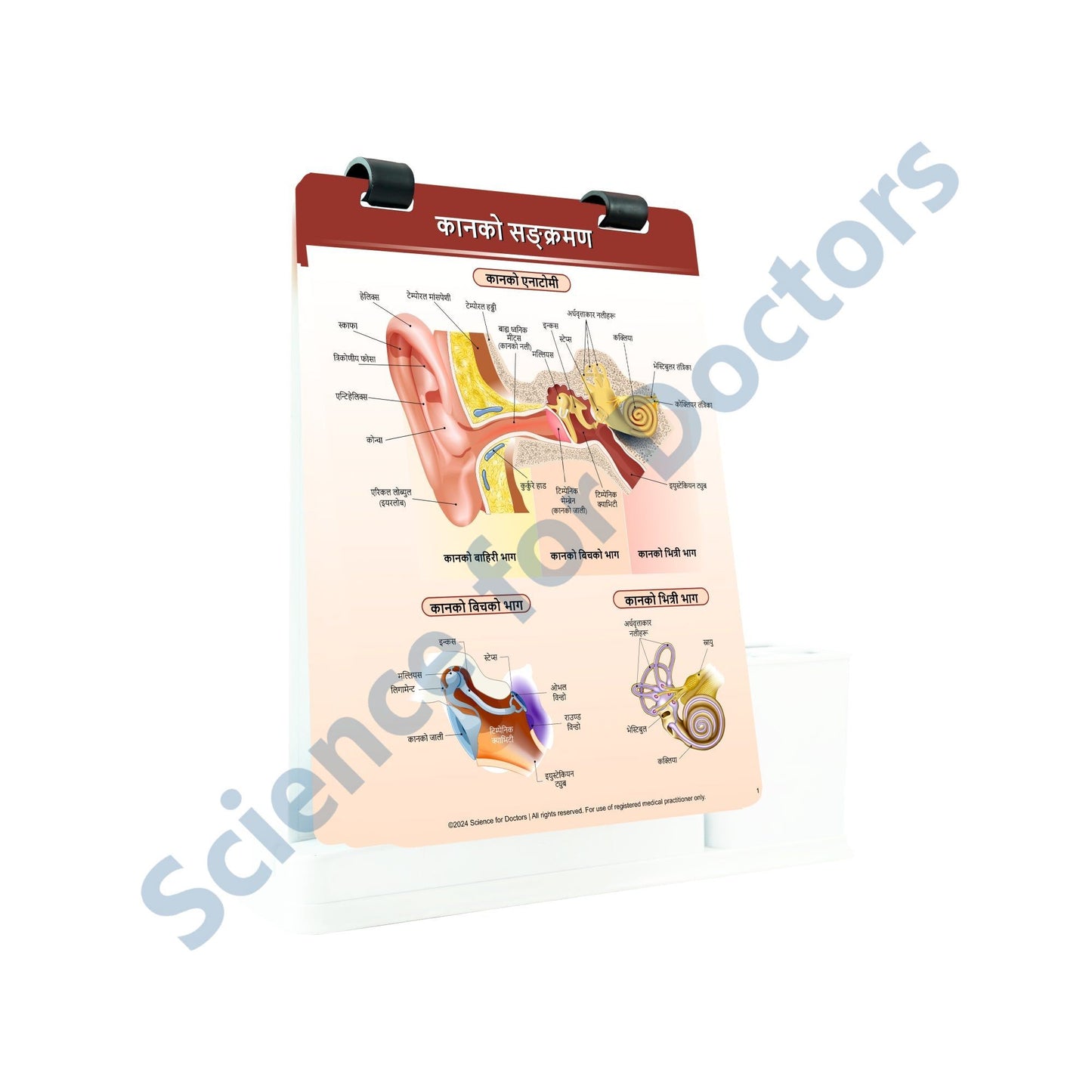 Ear infections: A4 Flip Wipe With Stationary Stand