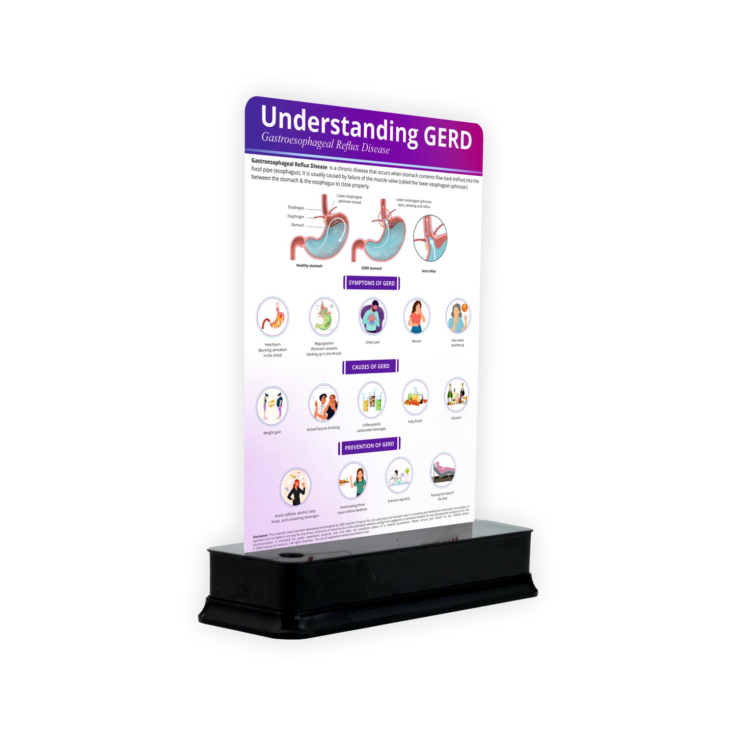 Understanding GERD: 1 Slide With Stand