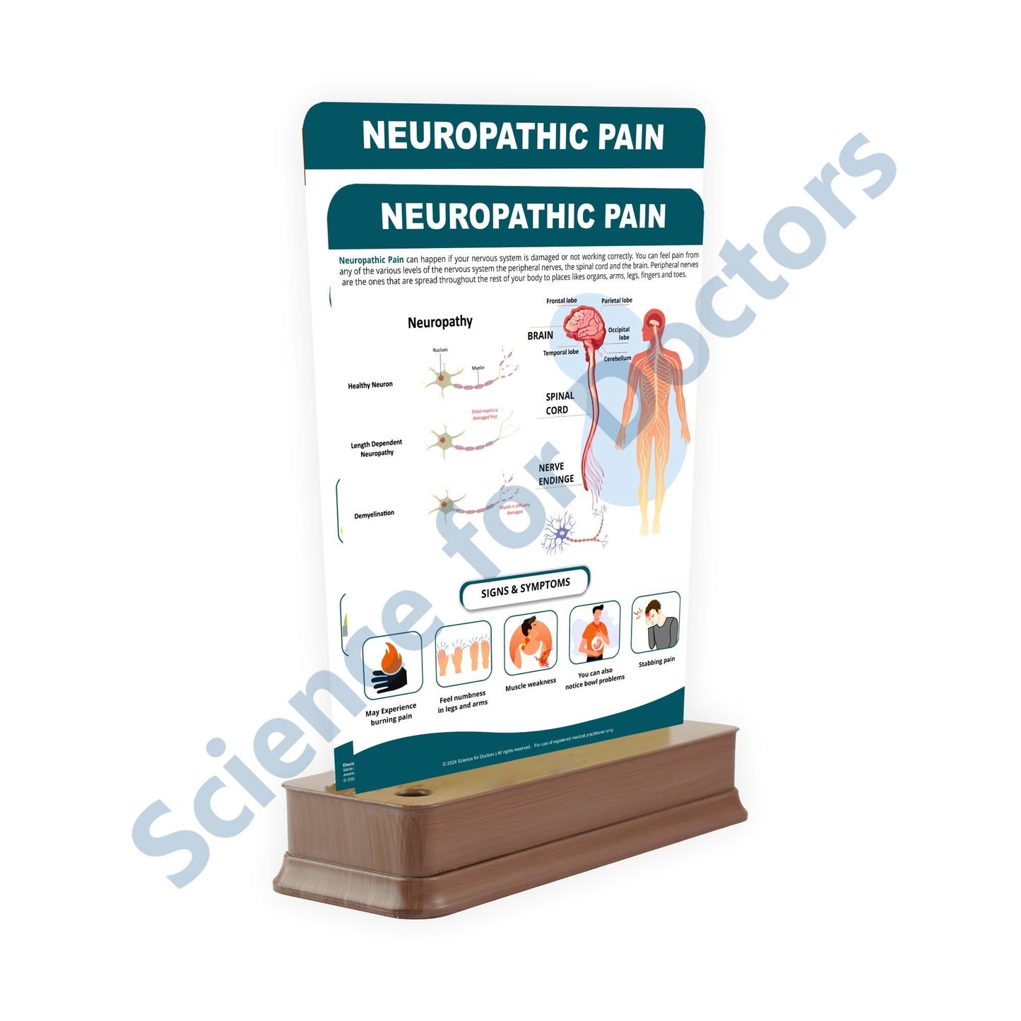 Neuropathic Pain: 2 Slides on stand