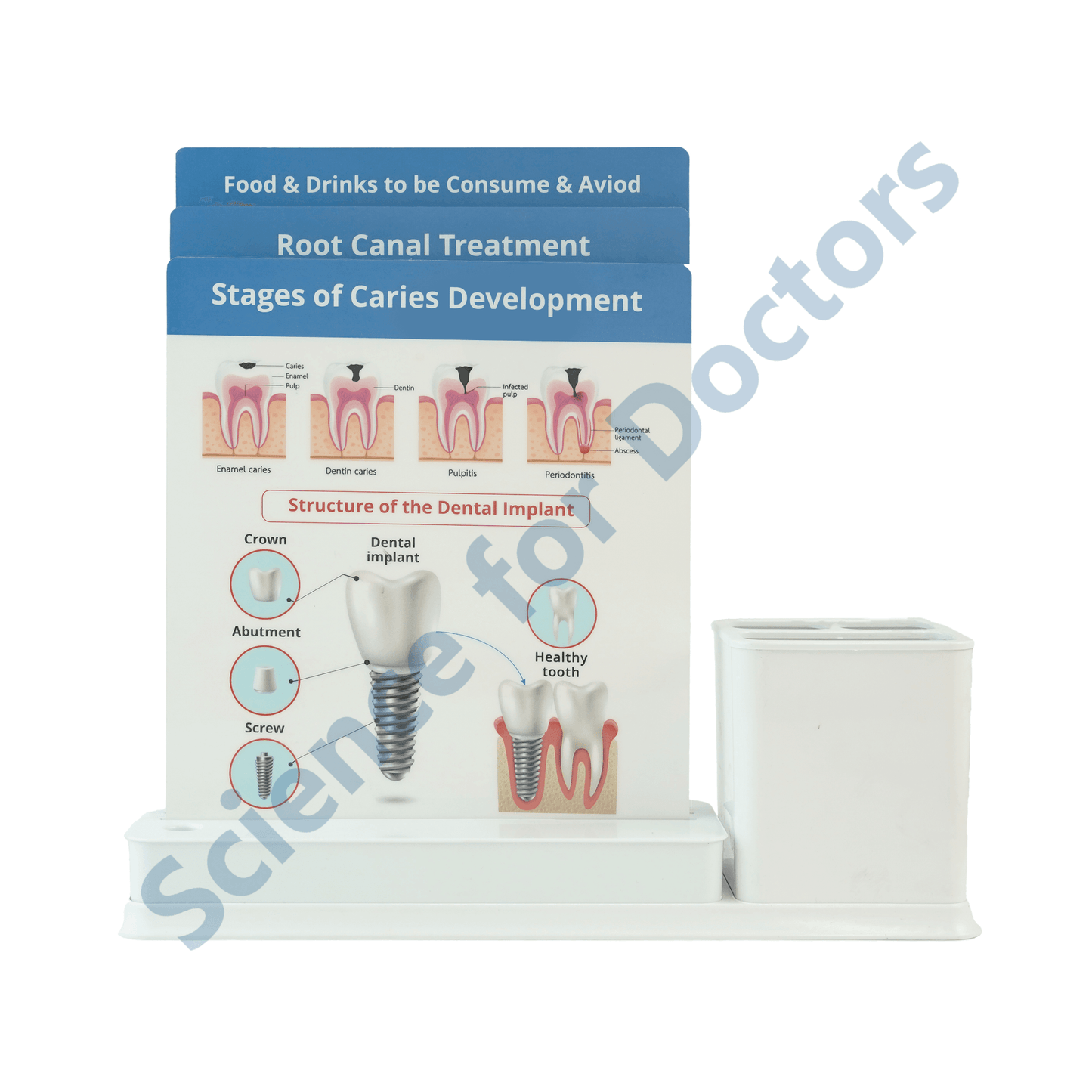 Root Canal Treatment: 3 Slides Write & Wipe with Stationary Stand