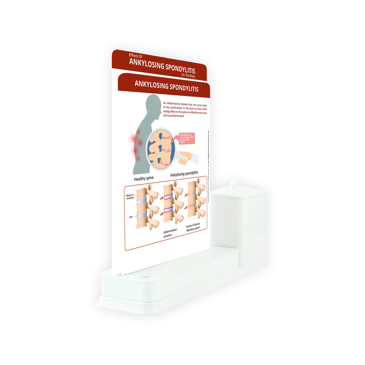 2 Slides Write & Wipe with Utility Container  - Ankylosing Spondylitis