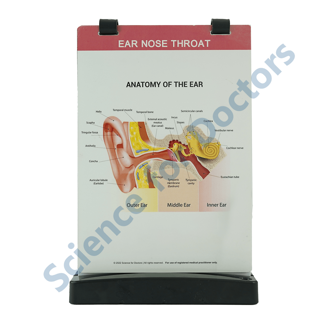 Ear Nose Throat: A4 Flip Wipe