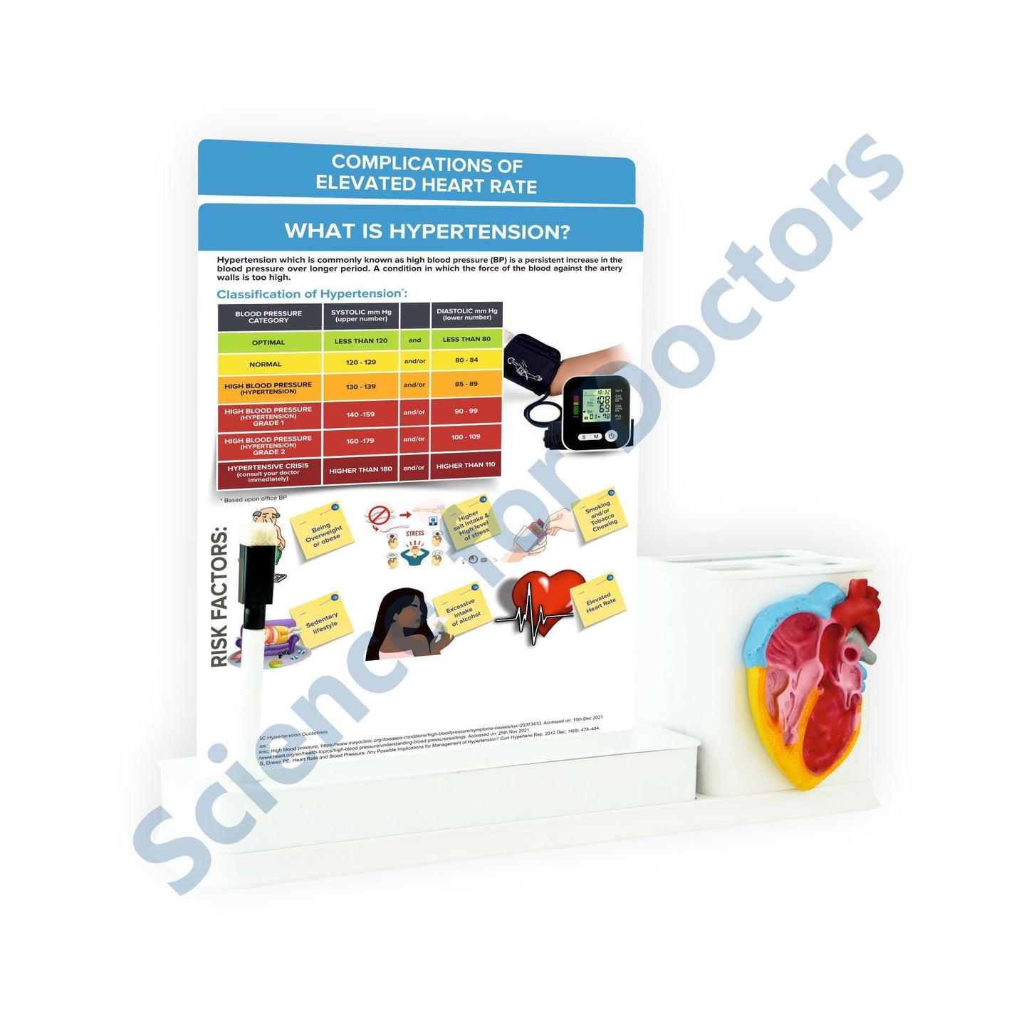 2 slides write & wipe with anatomical model on Stationary Stand - What is hypertension