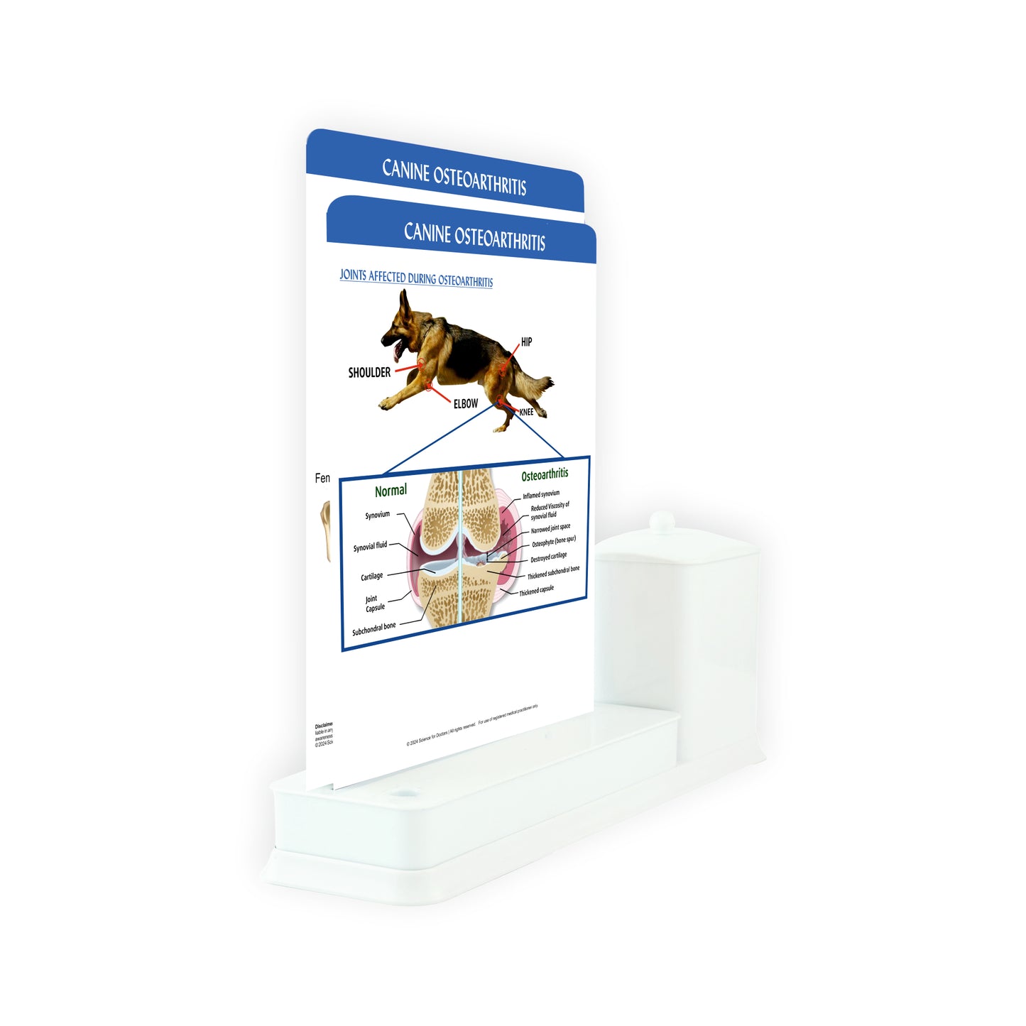 Canine Osteoarthritis - 2 Slide Write Wipe With Utility Container