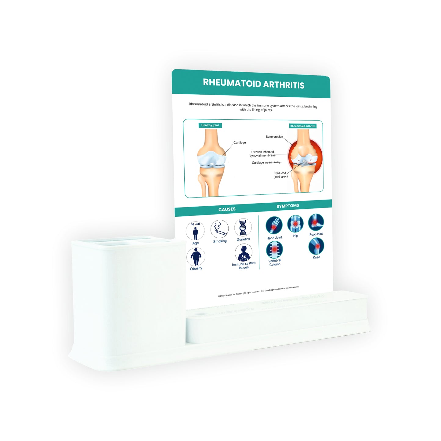 Rheumatoid Arthritis: 1 Slides Write & Wipe with Stationary Stand