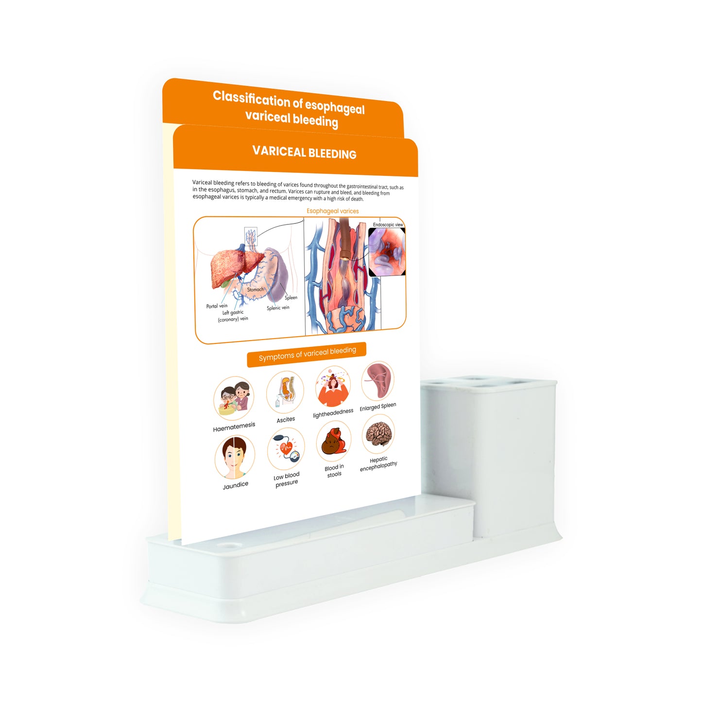 2 Slides Write & Wipe with Stationary Stand  - Variceal Bleeding