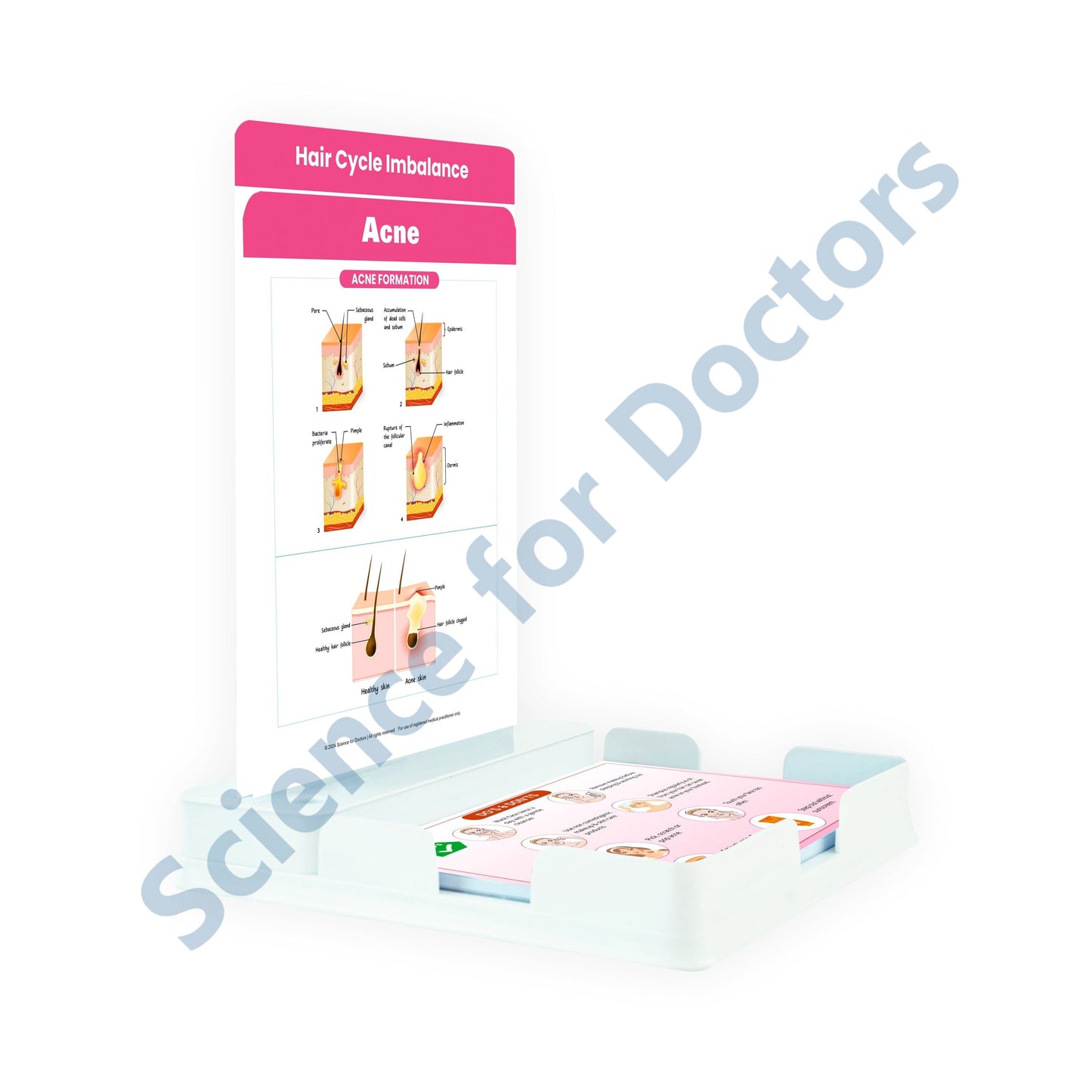 ACNE: 2 Slides Patient Leaflet Tray