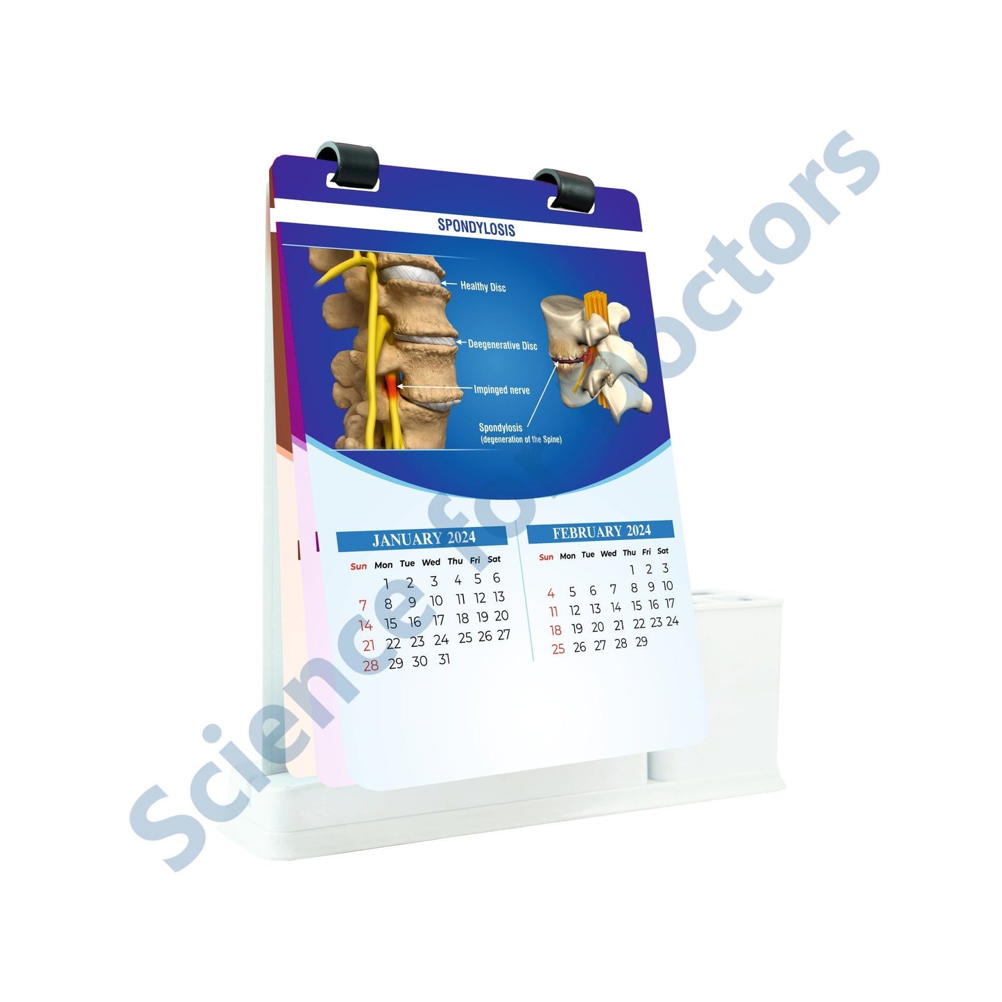 Spondylosis: A4 Flip Wipe With Stationary Stand