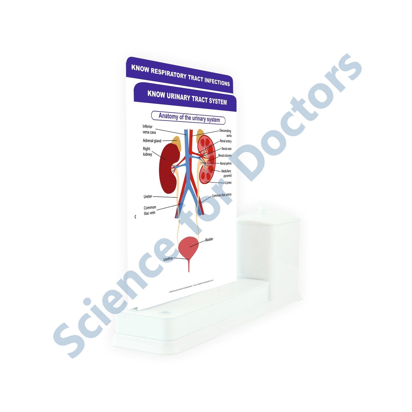 Know Urinary Tract System - 2 Slide Write Wipe With Utility Container