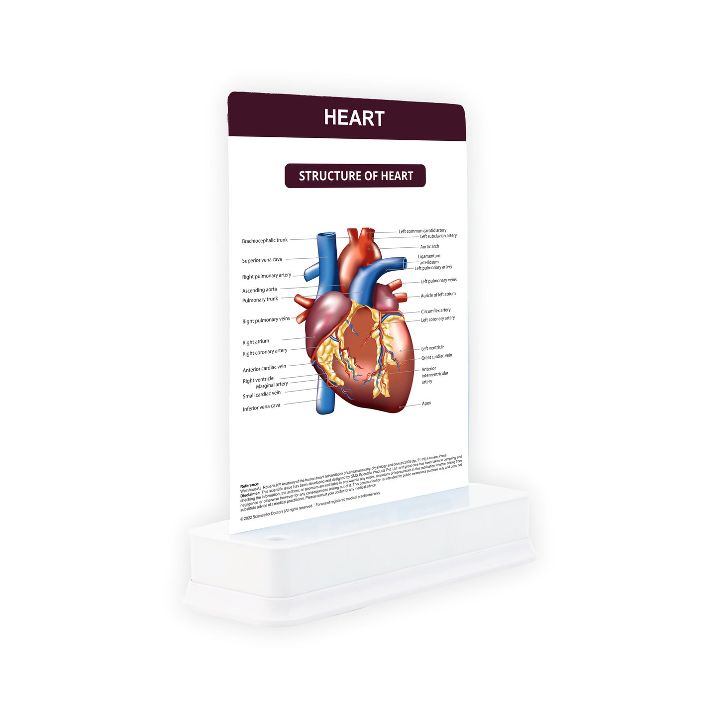 Heart: 1 Slide With Stand