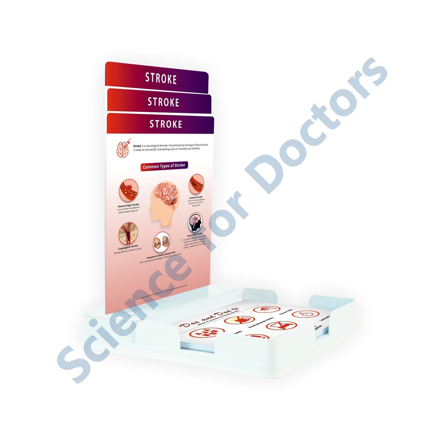 Stroke: 3 Slides Patient Leaflet Tray